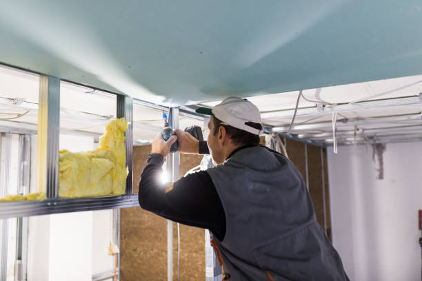 Best DIY Insulation Kits and Guidance in Evans, GA