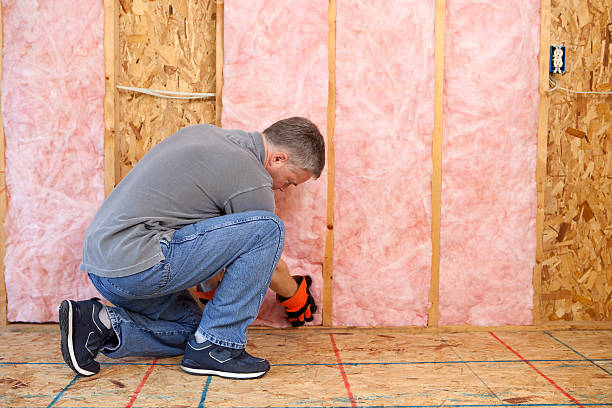 Best Commercial Insulation in Evans, GA