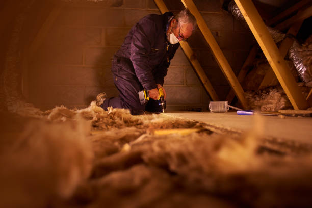 Best Geographic-Specific Insulation Services in Evans, GA